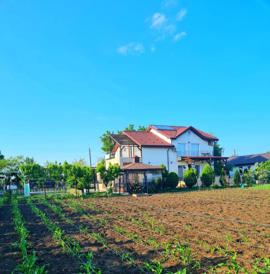 Nobless Villa Mereni  Exterior foto
