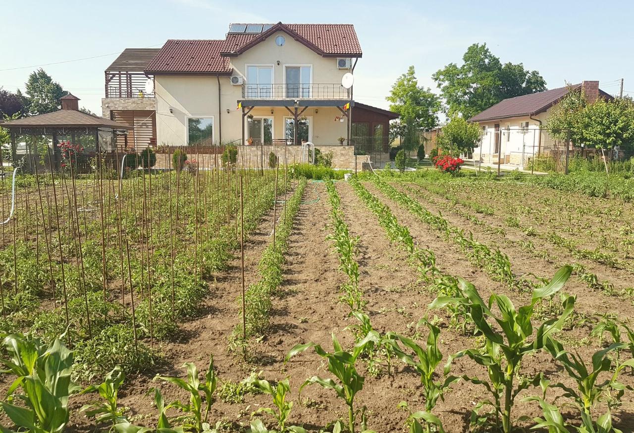Nobless Villa Mereni  Exterior foto